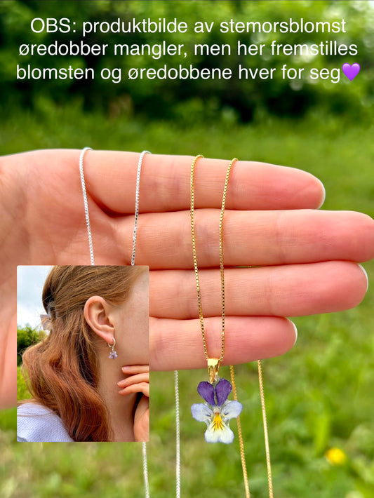 Stemorsblomst øredobber