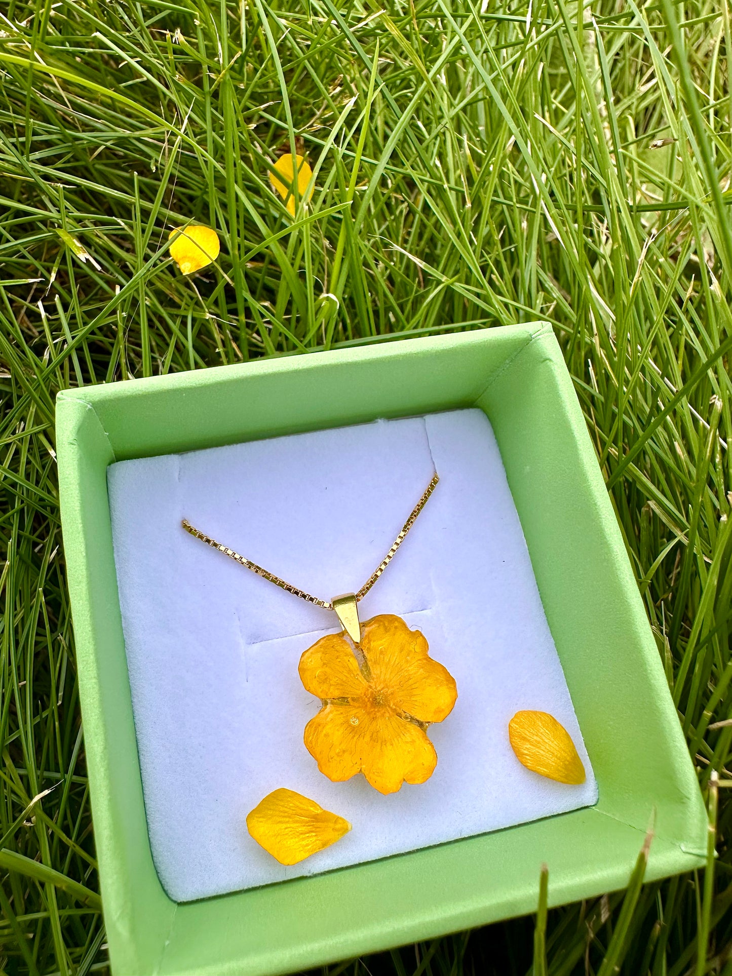 Smørblomst kjede