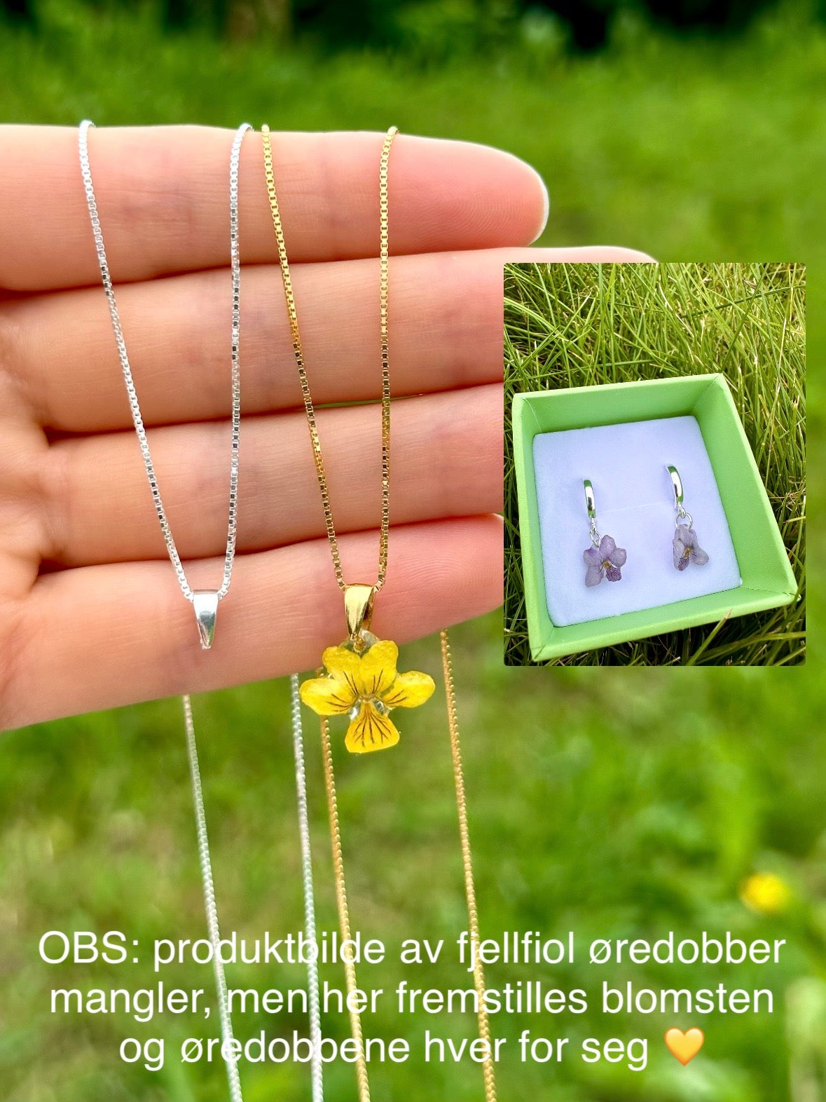 Fjellfiol øredobber