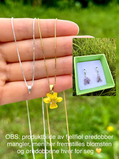 Fjellfiol øredobber